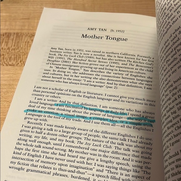 A New Handbook of Literary Terms and Made with Words BUNDLE - Picture 7 of 8